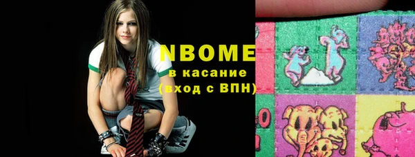 apvp Каменка
