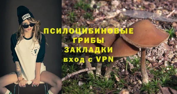 apvp Каменка