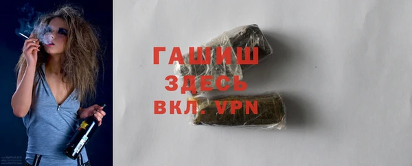 apvp Каменка