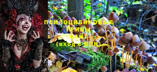 гашиш Каменногорск