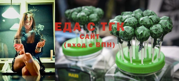 индика Янаул