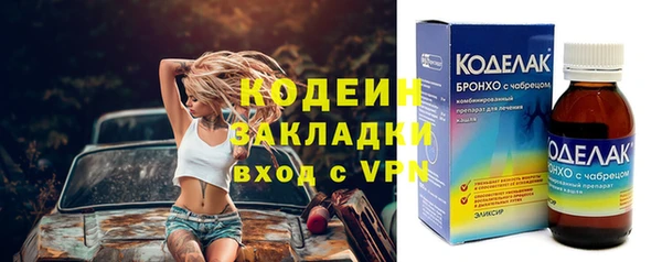apvp Каменка