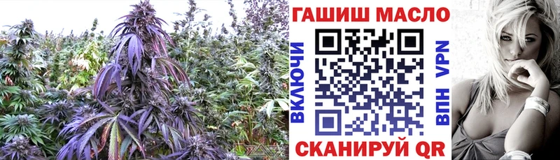 ТГК вейп  Димитровград 