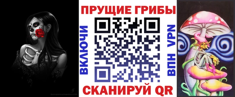 продажа наркотиков  Димитровград  blacksprut tor  Галлюциногенные грибы Cubensis 