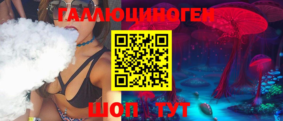 где купить наркоту  Псилоцибиновые грибы Psilocybe  Вход с VPN  Димитровград  Псилоцибиновые грибы MAGIC MUSHROOMS 
