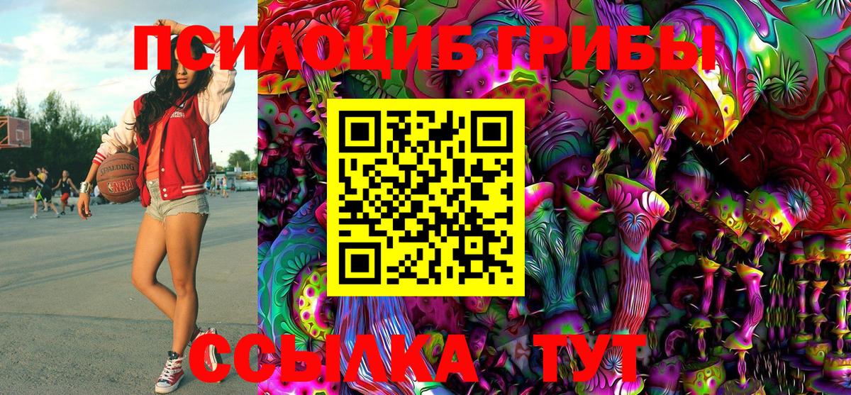 Псилоцибиновые грибы мицелий  Димитровград 