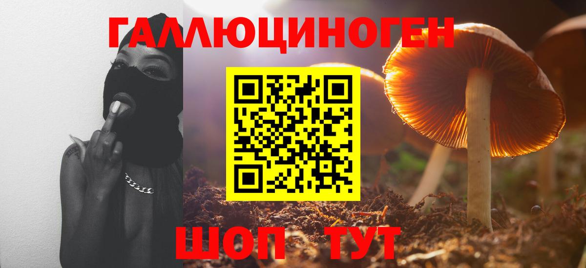 Галлюциногенные грибы мухоморы Димитровград
