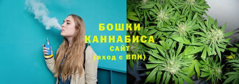 закладка Димитровград Конопля SATIVA & INDICA