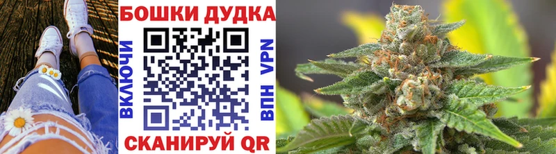 Каннабис ГИДРОПОН  Димитровград 