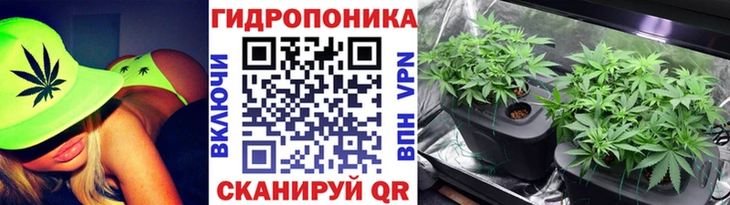 Марихуана планчик Димитровград